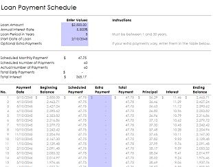 Amortization Schedule Template 18