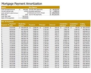 Amortization Schedule Template 27