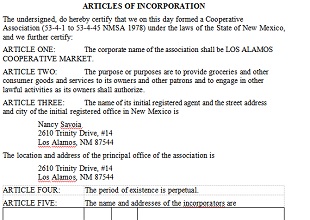 Articles of Incorporation Template 18