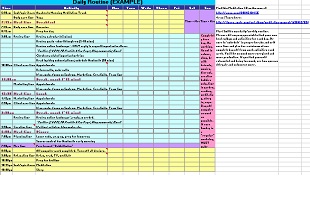 Daily Schedule Template 09
