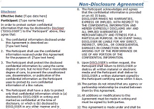 Non Disclosure Agreement Template 23