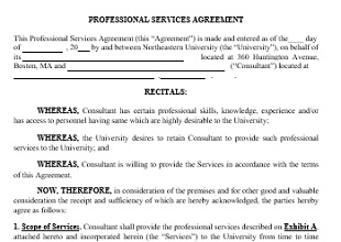 Service Agreement Template 10