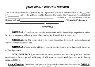 Service Agreement Template 11